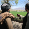 Eradication of Opium Cultivation in Afghanistan – Documentary