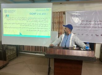 ننګرهار کې سل قصابانو ته د کانګو ناروغۍ په تړاو روزنه ورکړل شوه