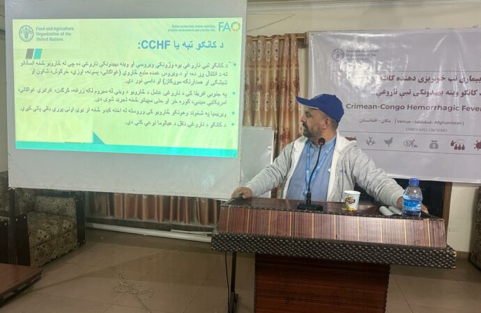 ننګرهار کې سل قصابانو ته د کانګو ناروغۍ په تړاو روزنه ورکړل شوه