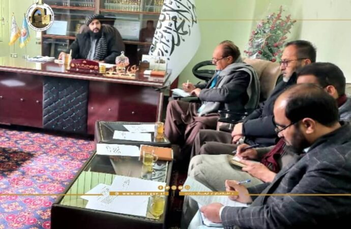 د نړيوالو موسسو مسؤلينو د بامينو د اطلاعاتو او کلتور له رئيس سره وکتل