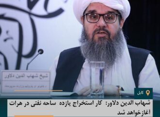 شهاب الدین ‌دلاور: کار استخراج یازده ساحه نفتی در هرات آغازخواهد شد