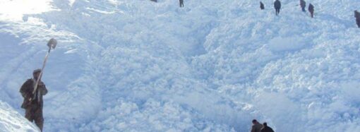 عامه فایده‌لر وزیرلیگی نینگ ایتیشیچه، سالنگ شاه یولی کیچیک موترلر اۉنگی‌گه آچیلگن