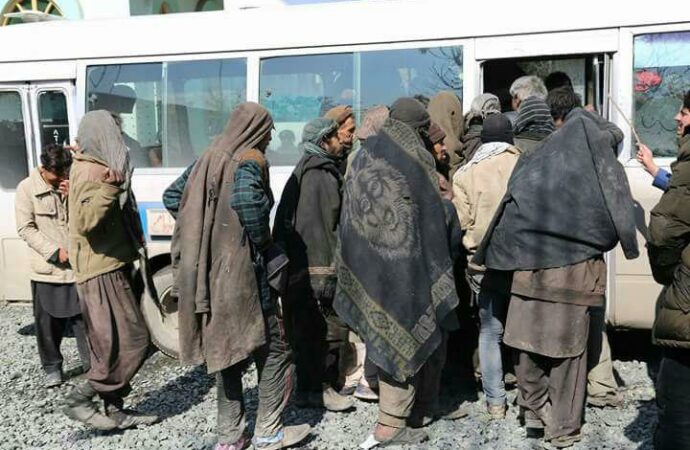 برنامه جمع‌آوری و انتقال معتادان به مرکز مراقبت از معتادان در ولایت فراه آغاز شد