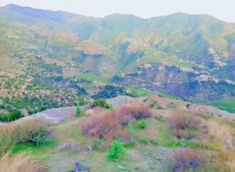 ننګرهار کې د ورښتونو له امله پنځه تنه شهیدان او پراخ مالي زیانونه  اوښتې