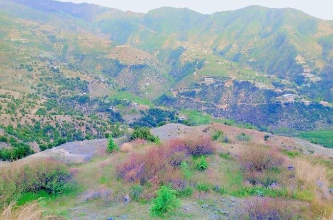 ننګرهار کې د ورښتونو له امله پنځه تنه شهیدان او پراخ مالي زیانونه  اوښتې