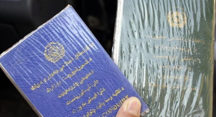 د جواز سیر او لایسنس الکترونیکي کېدو په طرحه خبرې شوې