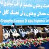 اسلامي امارت به نړیوالو فشارونو ته تسلیم نشي