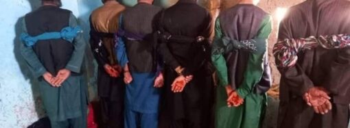 بادغیس کې شپږ کسان د ځنګلونو پرې کولو په تور نیول شوي